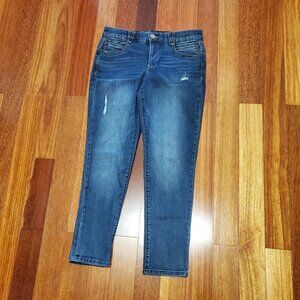 Democracy Ab Solution Jeans Size 8 inseam 26.5"